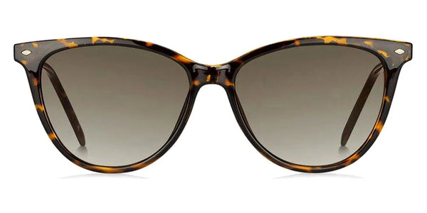 Havana / Brown Gradient / 54-15-145