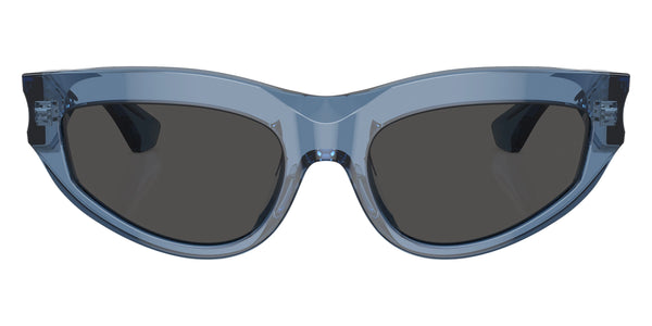 Blue / Dark Gray / 55-19-145