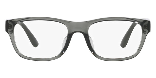 Shiny Transparent Gray / 53-18-145