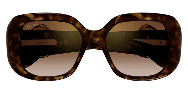 Havana / Brown Multi Treatment / 54-18-140