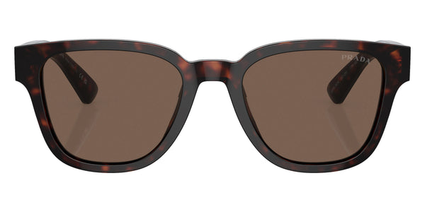 Havana / Brown / 52-20-140