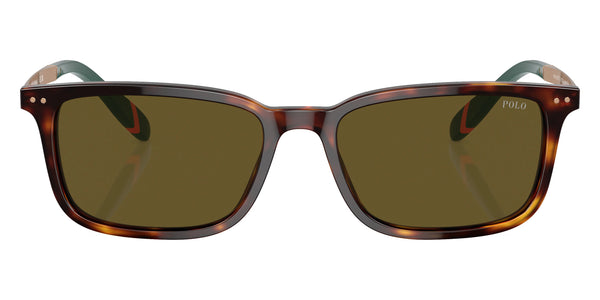 Shiny Brown Tortoise/Antique Gold/Green / Olive Green / 55-18-145