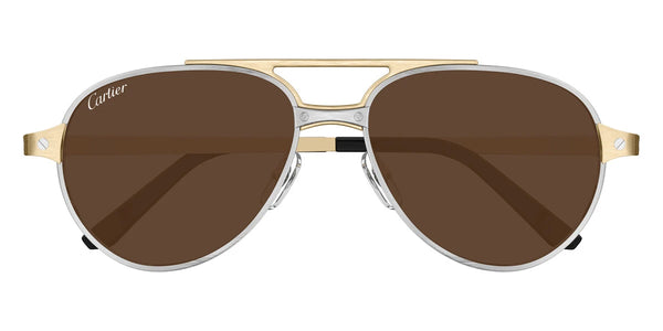 Silver/Gold / Brown Polarized AR / 59-17-145
