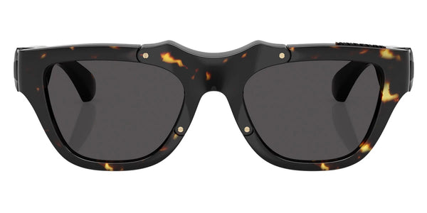 Dark Havana / Dark Gray / 53-20-145