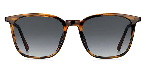 Havana / Gray Shaded / 53-19-145