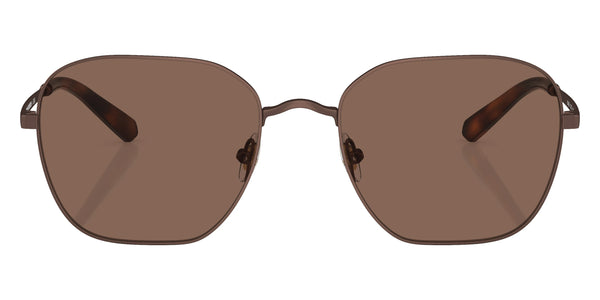 Matte Bronze / Dark Brown / 55-19-145