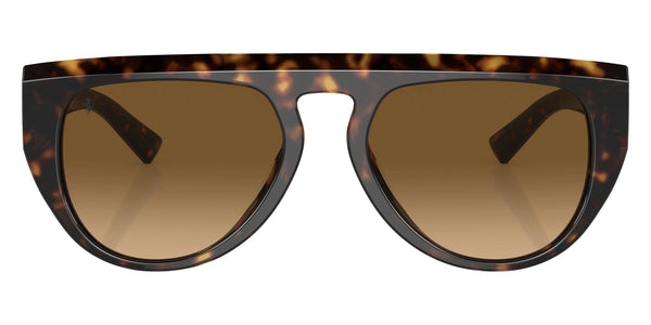 Havana / Polarized Brown Gradient / 56-19-145
