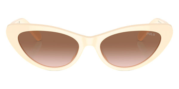 Shiny Cream / Gradient Brown / 54-16-145