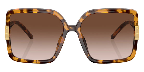 Tortoise / Light Brown Gradient / 57-16-140