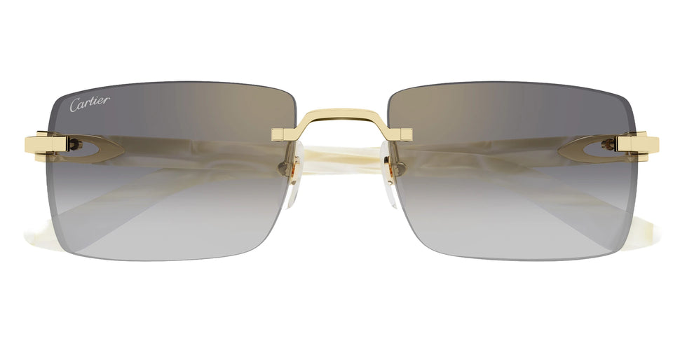 Cartier - CT0579S C Décor