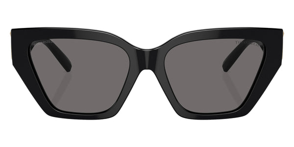 Black / Dark Gray Polarized / 55-17-140