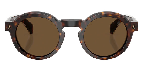 Shiny Dark Havana / Solid Brown / 47-24-145