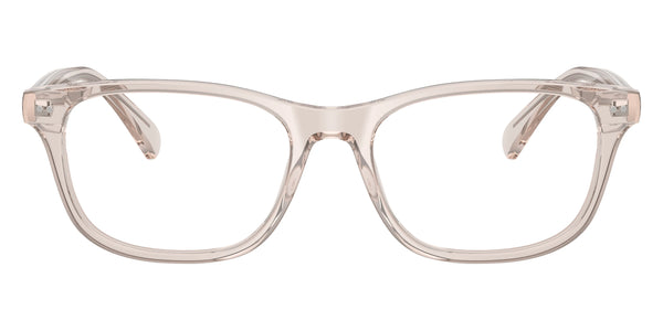 Shiny Transparent Light Taupe / 53-18-145