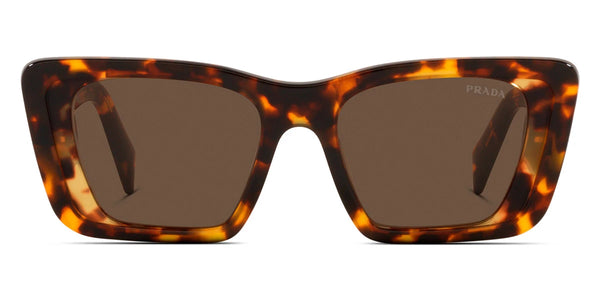 Havana Honey / Dark Brown / 51-18-145