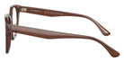 EMPORIO ARMANI EA3207F 5044 53 - Shiny Transparent Brown #id:ea3207f5044_s:100110