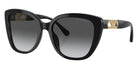 EMPORIO ARMANI EA4214U 50178G 54 - Shiny Black / Polarized Gray Gradient #id:ea4214u50178g_s:100105