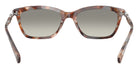 EMPORIO ARMANI EA4238F 61953C 54 - Shiny Havana Gray / Gray Gradient #id:ea4238f61953c_s:100115