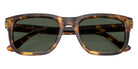 EMPORIO ARMANI EA4282U 59939A 54 - Shiny Havana Brown / Dark Green Polarized #id:ea4282u59939a_s:106120