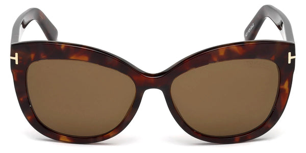 Shiny Red Havana / Brown Polarized / 56-16-140