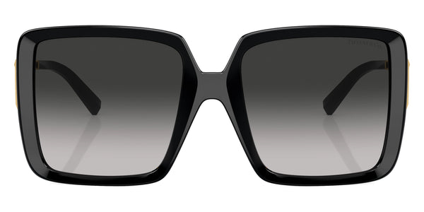 Black/Gold / Gray Gradient / 55-19-130