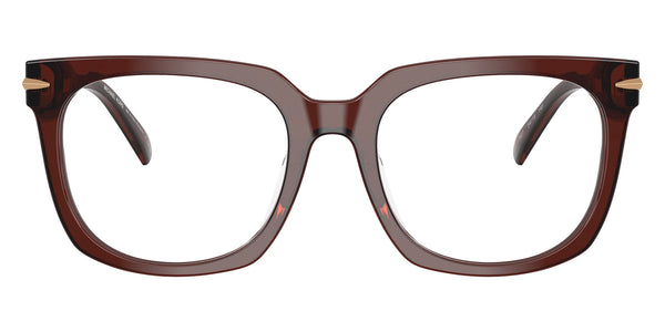 Brown Transparent / 54-19-145