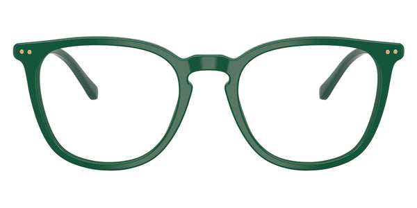 Shiny Green/Orange / 51-20-145