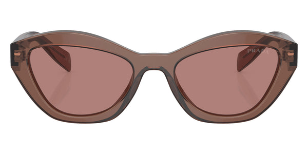 Brown Transparent/Brown / Light Brown / 55-17-140