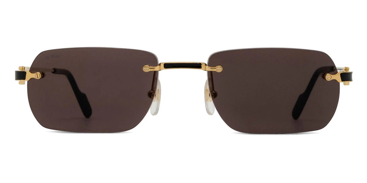 Cartier - CT0498S Santos de Cartier