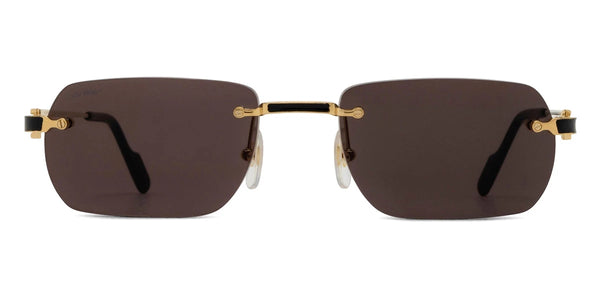 Gold / Gray AR / 55-20-145