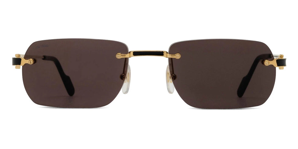 Cartier - CT0498S Santos de Cartier