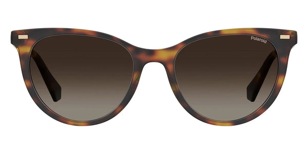 Havana / Brown Gradient Polarized / 52-18-145