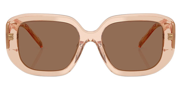 Brown/Transparent Brown / Brown / 54-18-140