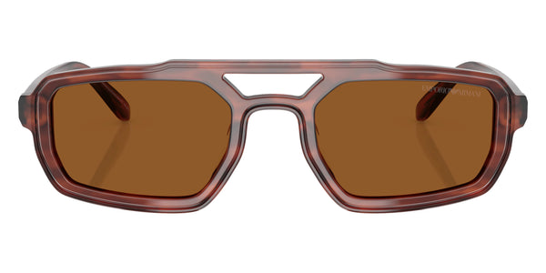 Shiny Havana Brown / Brown / 53-22-145