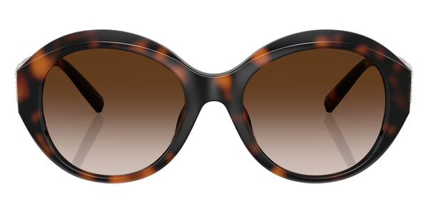 Havana / Brown Gradient / 53-19-140