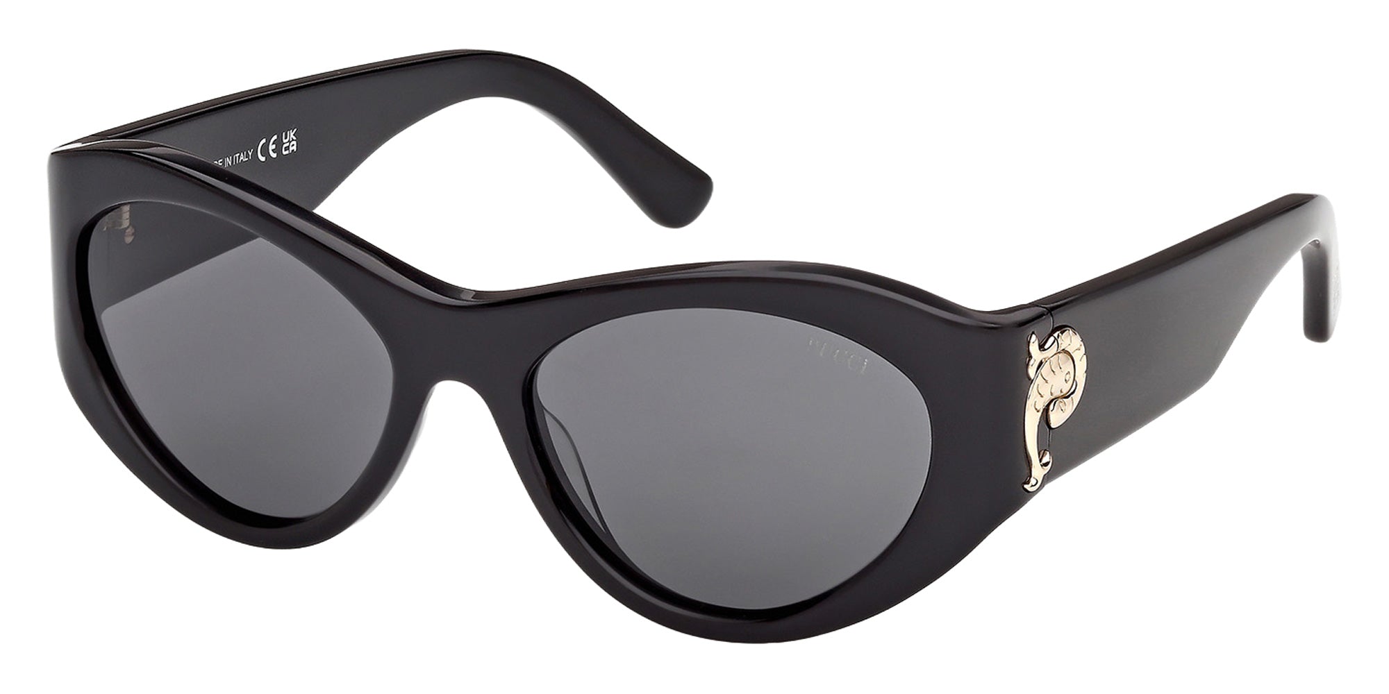 Emilio Pucci EP0249 01A 54 - Shiny Black / Smoke 01A #id:ep024901a_s:100105