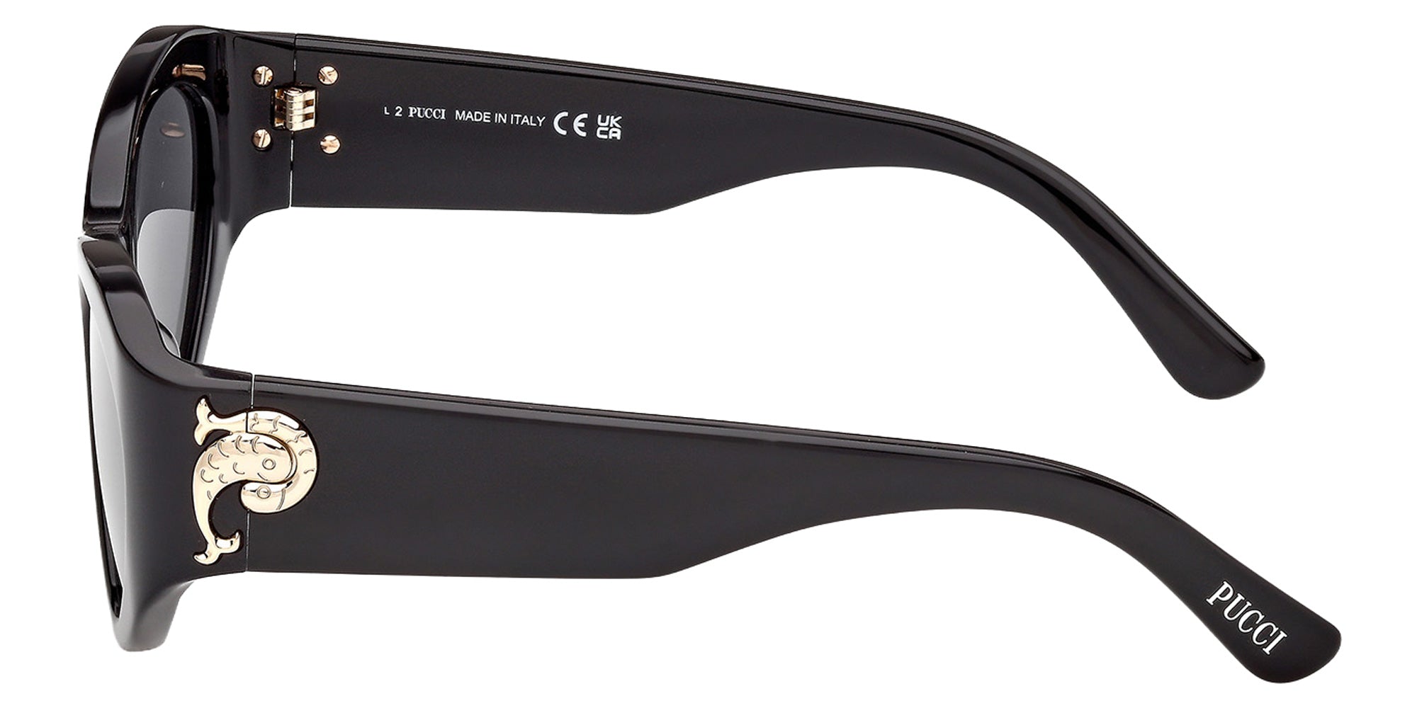 Emilio Pucci EP0249 01A 54 - Shiny Black / Smoke 01A #id:ep024901a_s:100110