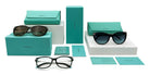 Example of Eyewear Cases by TIFFANY #id:box-TIFFANY_s:104130