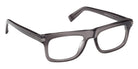 Ermenegildo Zegna EZ5343 020 56 - Shiny Gray 020 #id:ez5343020_s:100135