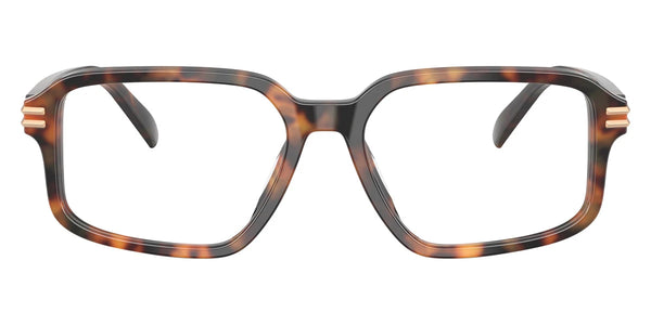 Vintage Tortoise / 56-17-145