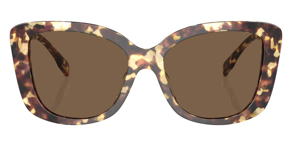 Vintage Tortoise / Dark Brown / 54-17-145