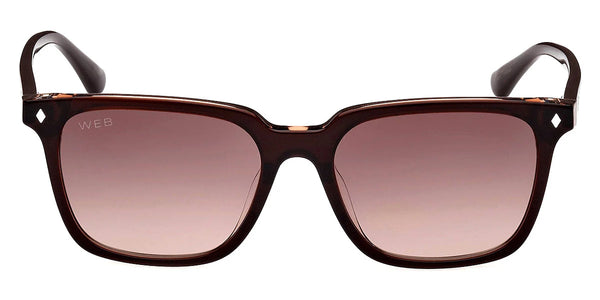 Dark Brown/Other / Gradient Brown / 53-17-145