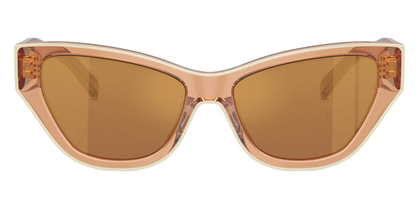 Brown/Ivory / Brown Gold Mirrored / 54-16-145