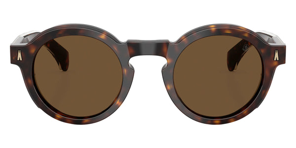 Shiny Dark Havana / Solid Brown / 47-24-145