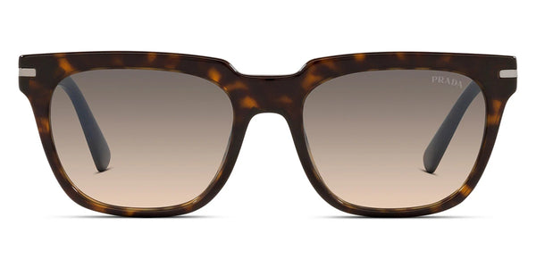 Tortoise / Clear Gradient Gray / 56-19-150