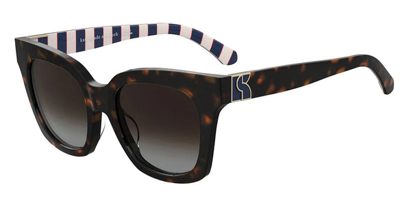 Havana / Brown Shaded Polarized / 53-19-145