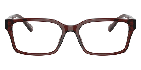Transparent Brown / 53-17-145
