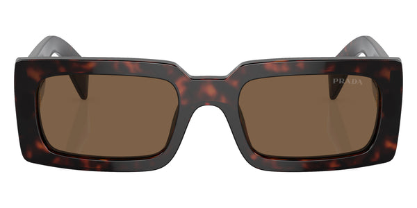 Briar Trotoise / Dark Brown Polarized / 52-20-145