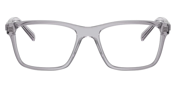 Shiny Transparent Gray / 55-19-145