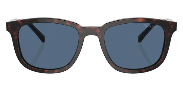 Radica Tortoise / Dark Blue / 53-20-145