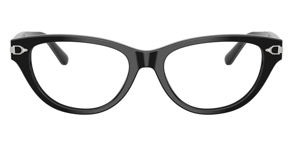 Shiny Black / 54-17-145